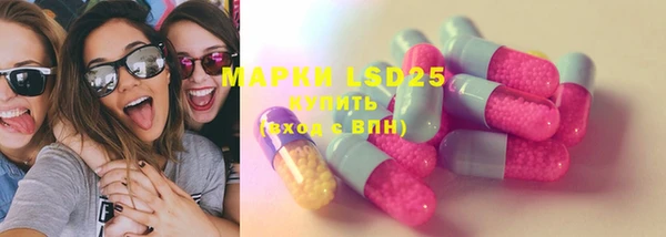 хмурый Магас