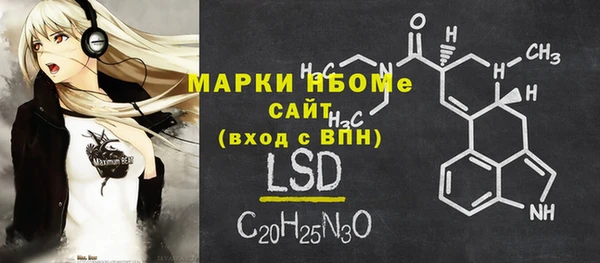 хмурый Магас