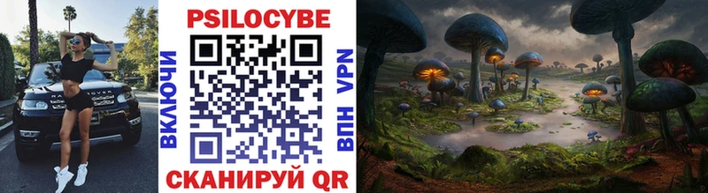 где купить наркотик Елец Псилоцибиновые грибы Magic Shrooms
