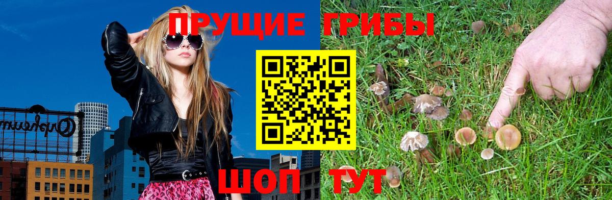 Галлюциногенные грибы мухоморы Елец