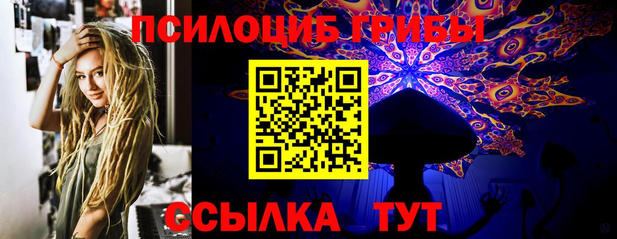 Галлюциногенные грибы Magic Shrooms  Елец  Псилоцибиновые грибы Cubensis 
