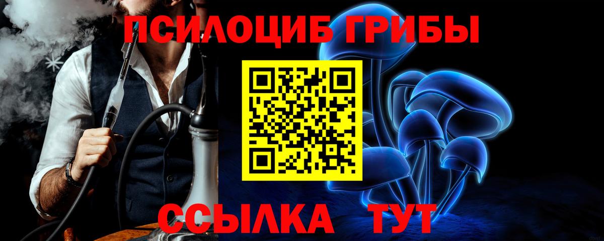 Галлюциногенные грибы MAGIC MUSHROOMS Елец